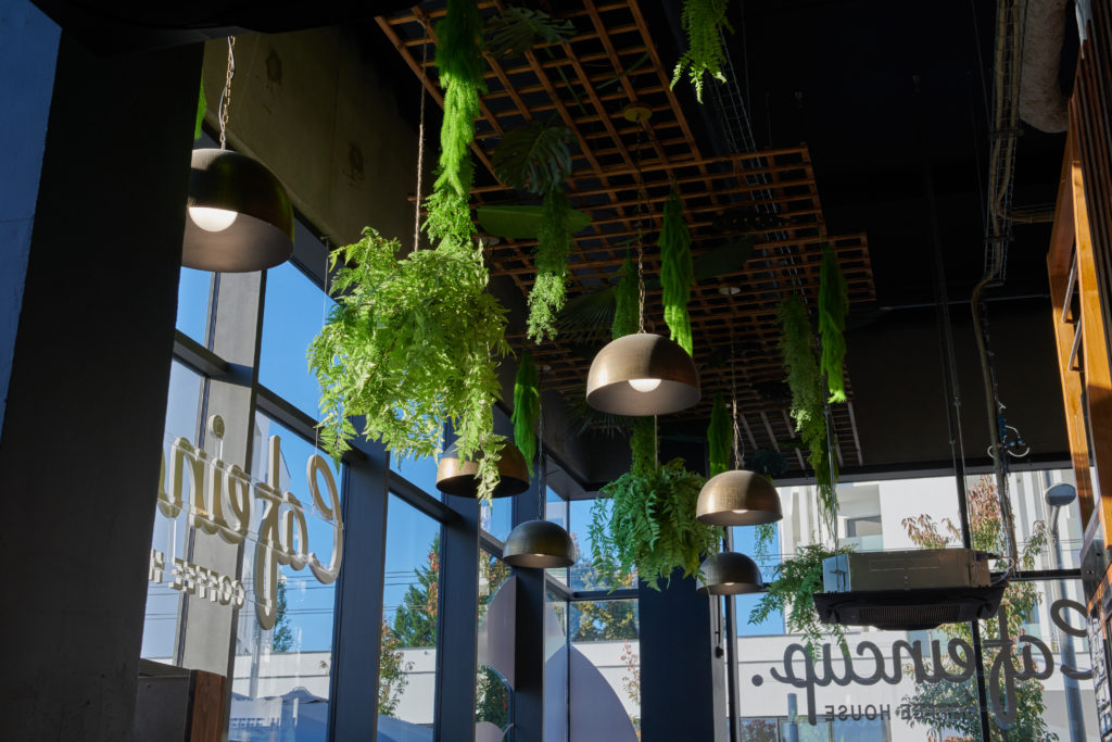 plantes-vegetaux-decoration-restaurant-vert